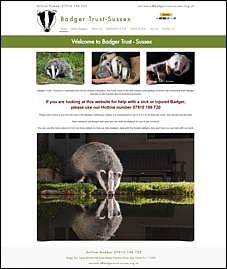 Badger Trust Sussex Website