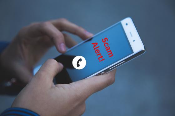 Person holding a mobile phone with Scam Alert warning