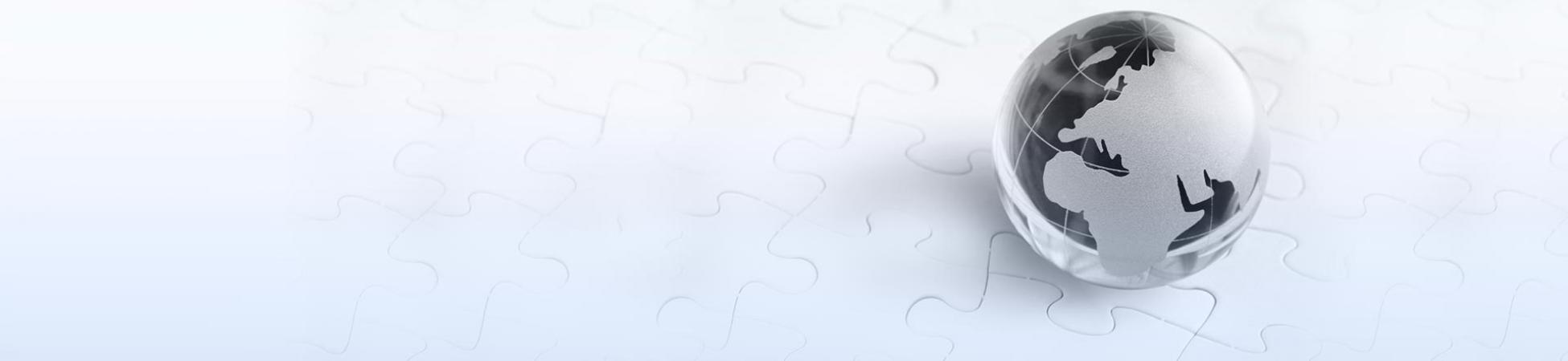 Website design and programming